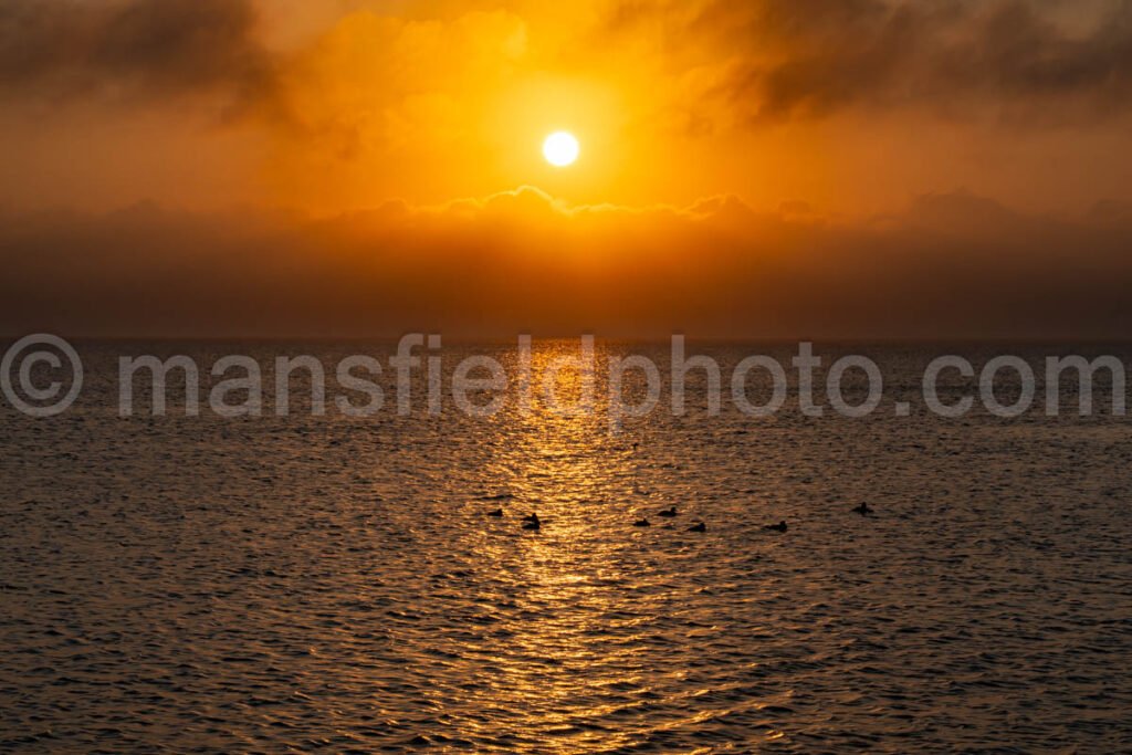 Sunset in South Padre Island, Texas A4-29693 - Mansfield Photography