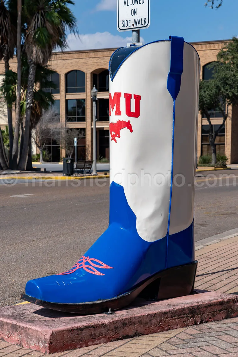 Boot in Mercedes, Texas A4-29996