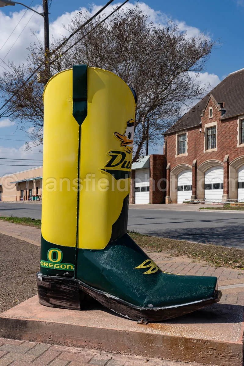 Boot in Mercedes, Texas A4-29999