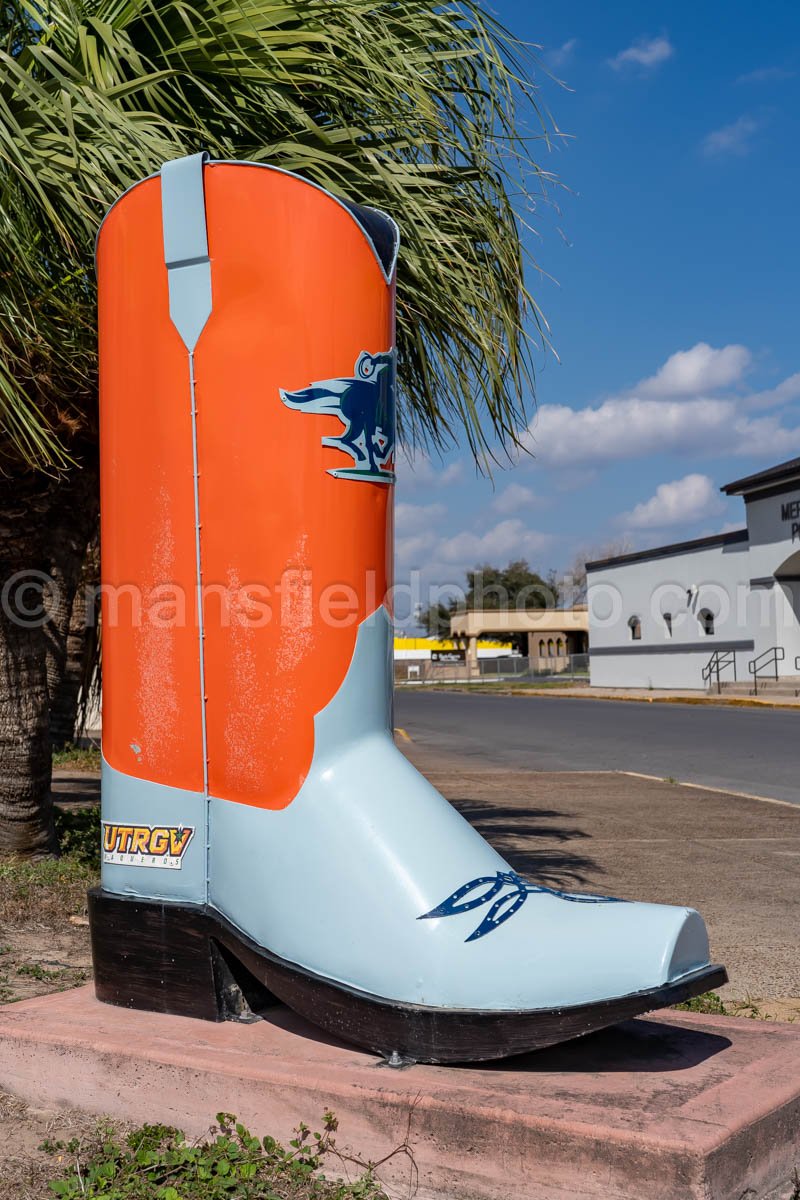 Boot in Mercedes, Texas A4-30003