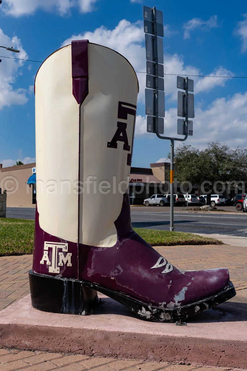 Boot in Mercedes, Texas A4-30010