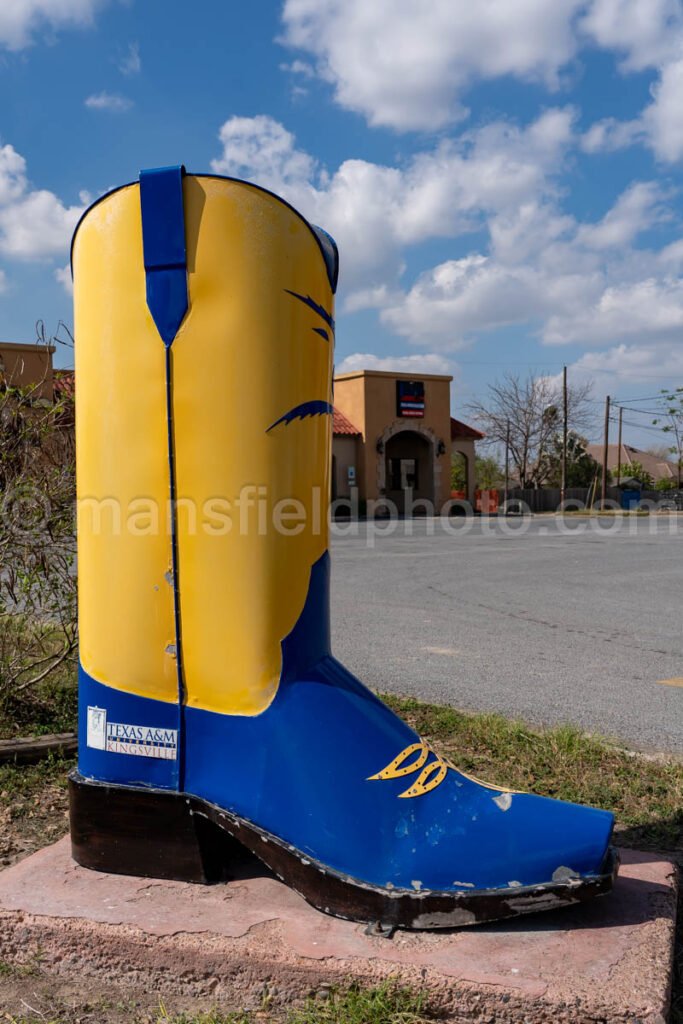 Boot in Mercedes, Texas A4-30013 - Mansfield Photography