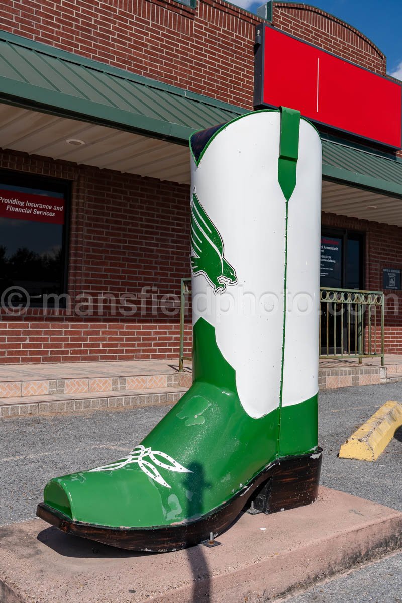 Boot in Mercedes, Texas A4-30017