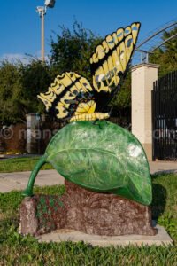 Mission, Texas A4-30094 - Mansfield Photography