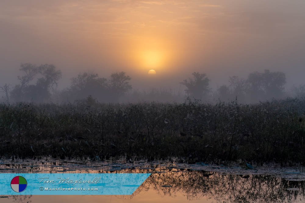 Moody Sunrise on the Lake in Brazos Bend