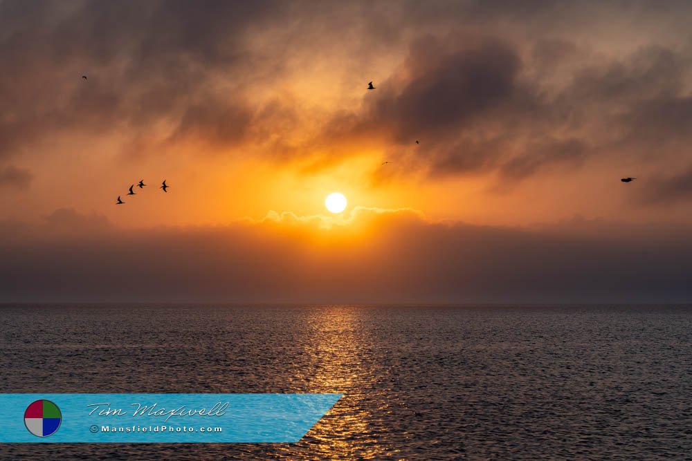 Sunset in South Padre Island, Texas