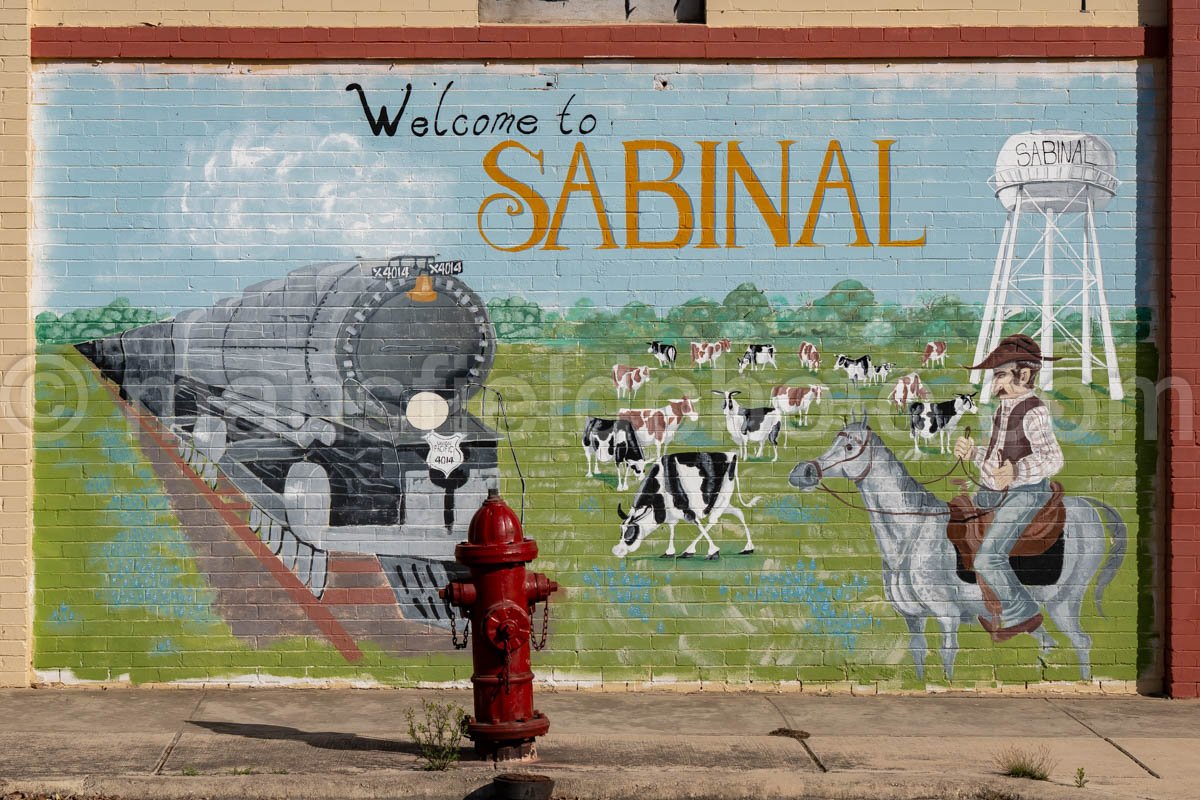 Sabinal, Texas A4-31127