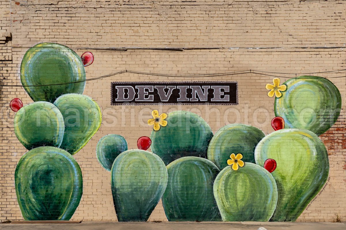 Devine, Texas A4-31284