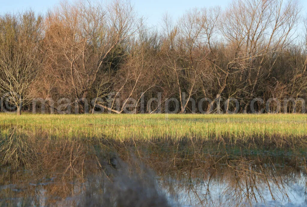 Pond, Mansfield, Tx A4-04254 - Mansfield Photography