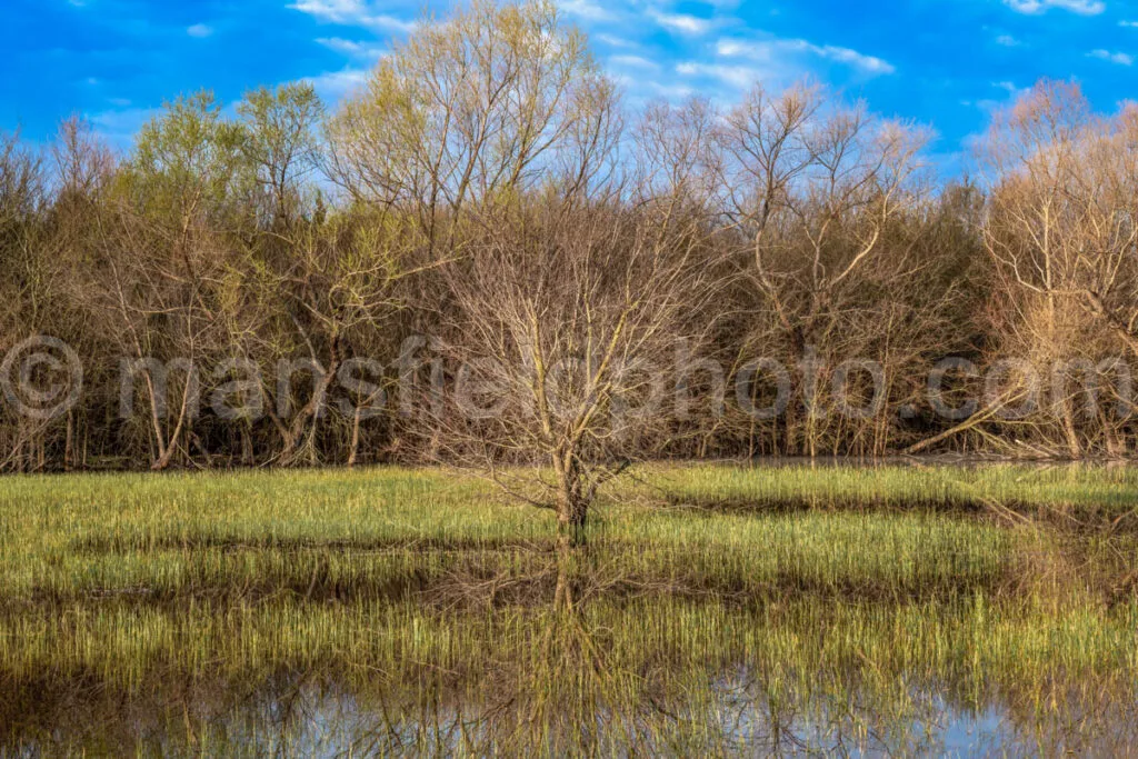 Pond, Mansfield, Tx A4-04294 - Mansfield Photography