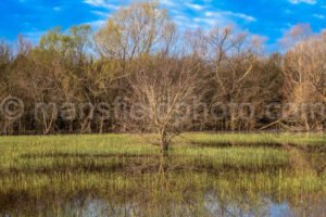 Pond, Mansfield, Tx A4-04294 - Mansfield Photography