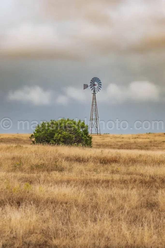 Windmill And Bush A4-07342 - Mansfield Photography