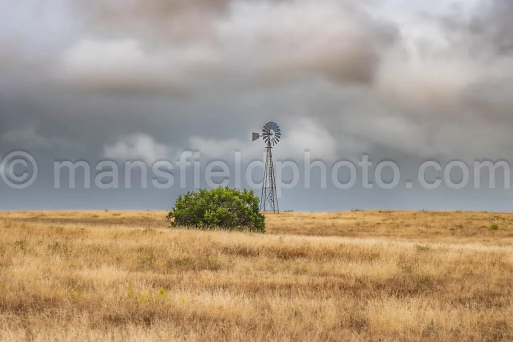 Windmill And Bush A4-07343 - Mansfield Photography