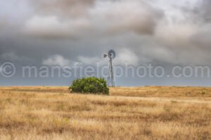 Windmill And Bush A4-07343 - Mansfield Photography