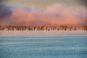 Steinhagen Reservoir, Tx A4-12717 - Mansfield Photography