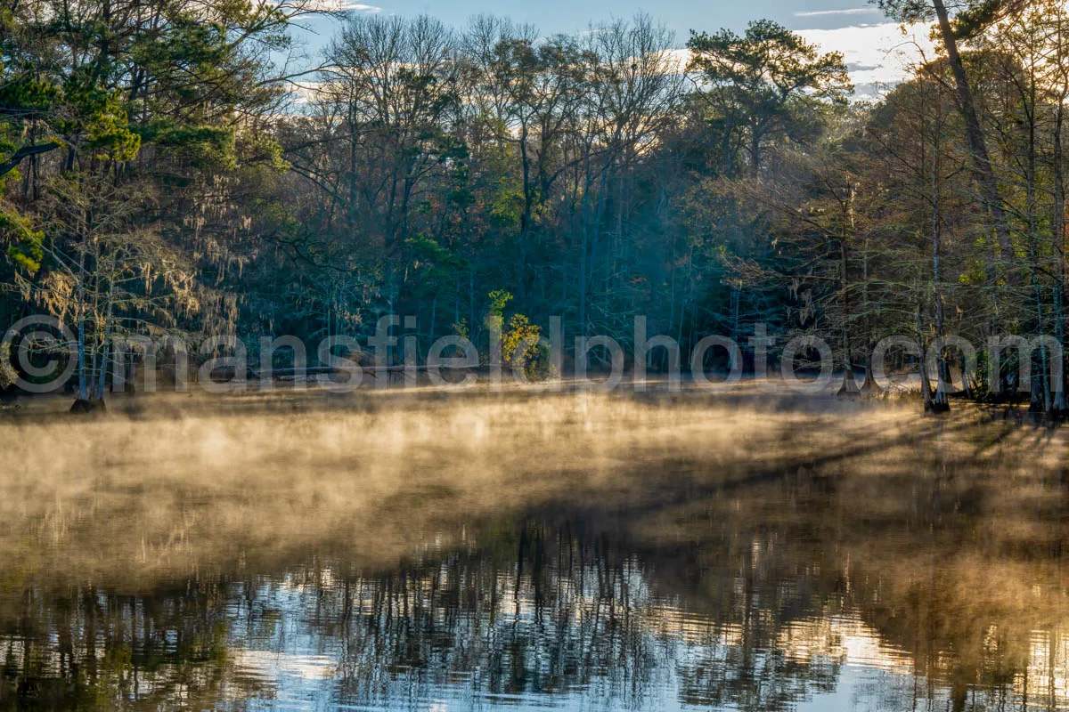 Steinhagen Reservoir, Tx A4-12780