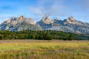 Grand Teton National Park A4-16939 - Mansfield Photography