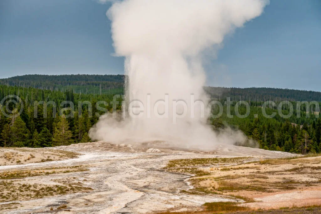 Yellowstone National Park A4-17720 - Mansfield Photography