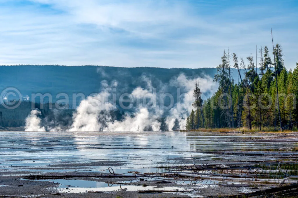 Near Grand Prismatic Spring In Yellowstone National Park A4-17816 - Mansfield Photography