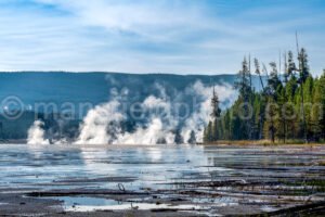 Near Grand Prismatic Spring In Yellowstone National Park A4-17816 - Mansfield Photography