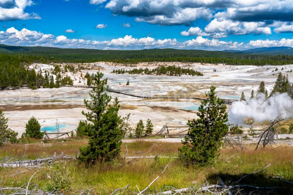 Norris Basin, Yellowstone National Park A4-18129 - Mansfield Photography