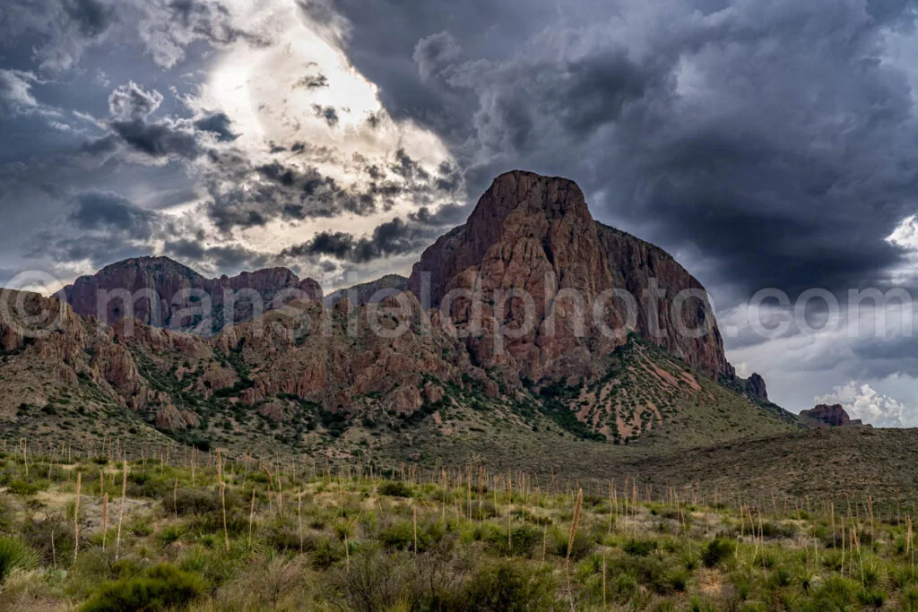 Vernon Bailey Peak A4-18743 - Mansfield Photography