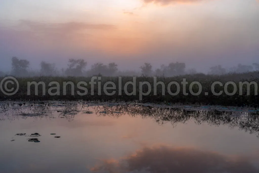 Morning On The Lake In Brazos Bend A4-26435 - Mansfield Photography