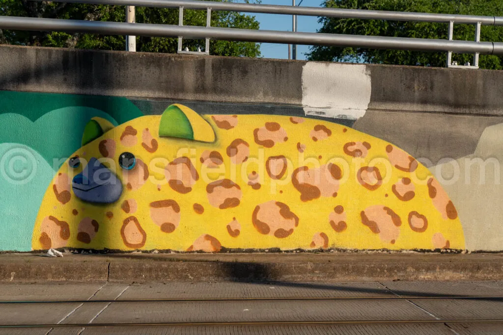 Mural In Dallas A4-32515 - Mansfield Photography