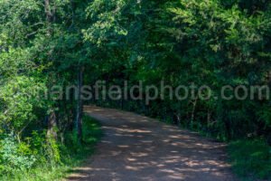 Walking Path In Elmer Oliver Nature Park A4-32707 - Mansfield Photography