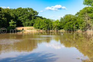 Pond In Elmer Oliver Nature Park A4-32711 - Mansfield Photography