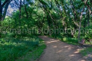 Walking Path In Elmer Oliver Nature Park A4-32713 - Mansfield Photography
