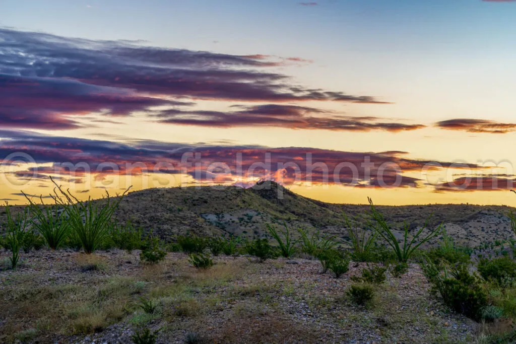 Desert Sunrise, Big Bend National Park, Texas A4C-03840 - Mansfield Photography