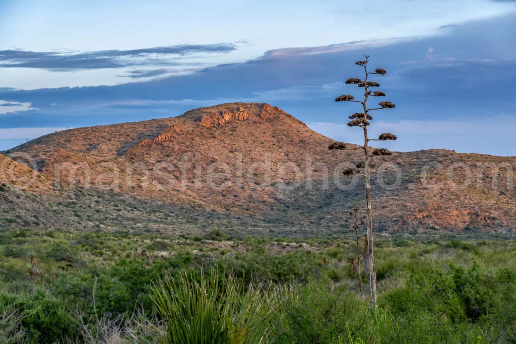 Morning At Big Bend National Park, Texas A4C-04078 - Mansfield Photography