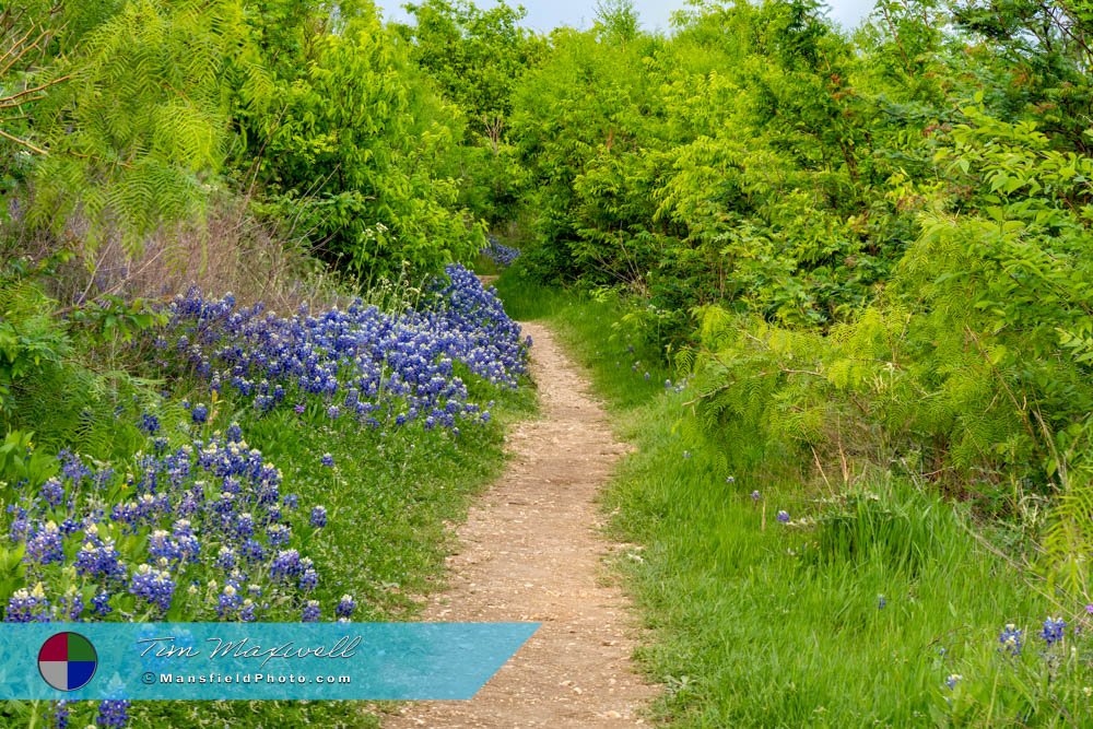 Talala Trail In Cedar Hill State Park