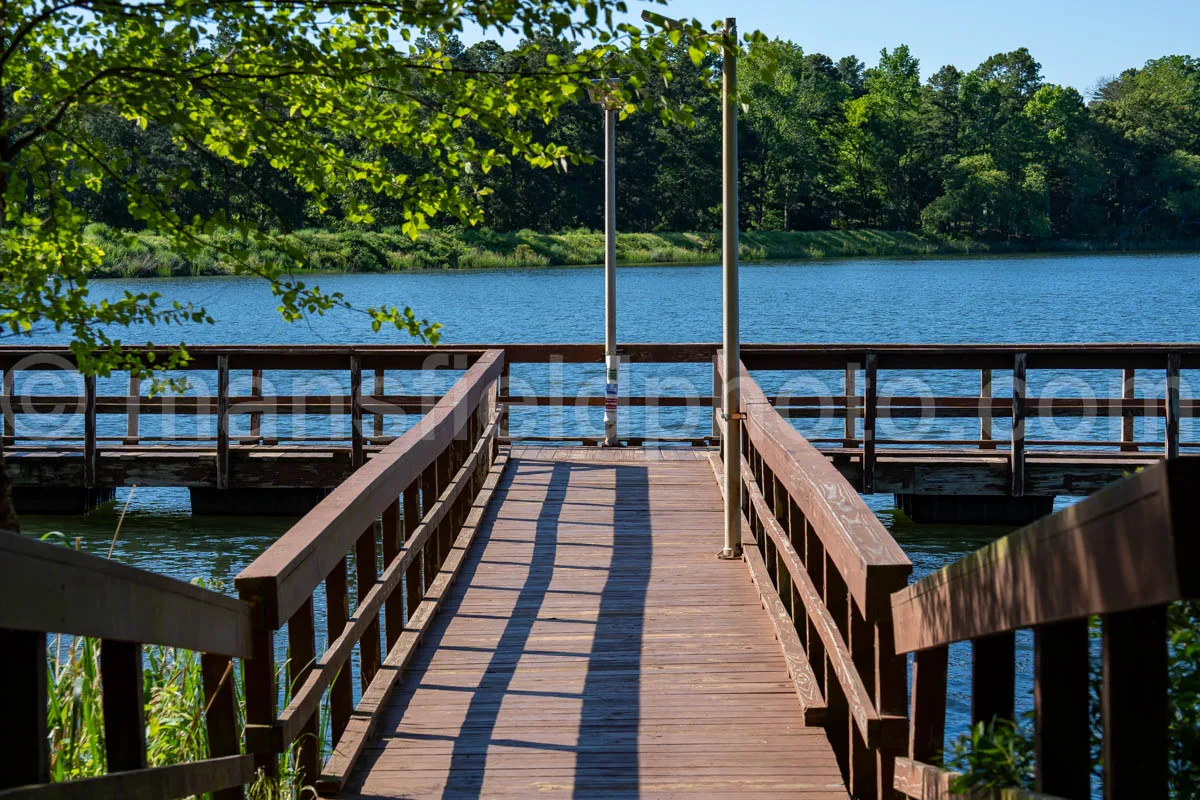 Fishing Pier At Tyler State Park A4-33513