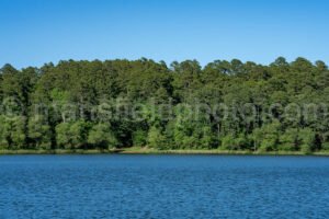 Tyler State Park A4-33515 - Mansfield Photography