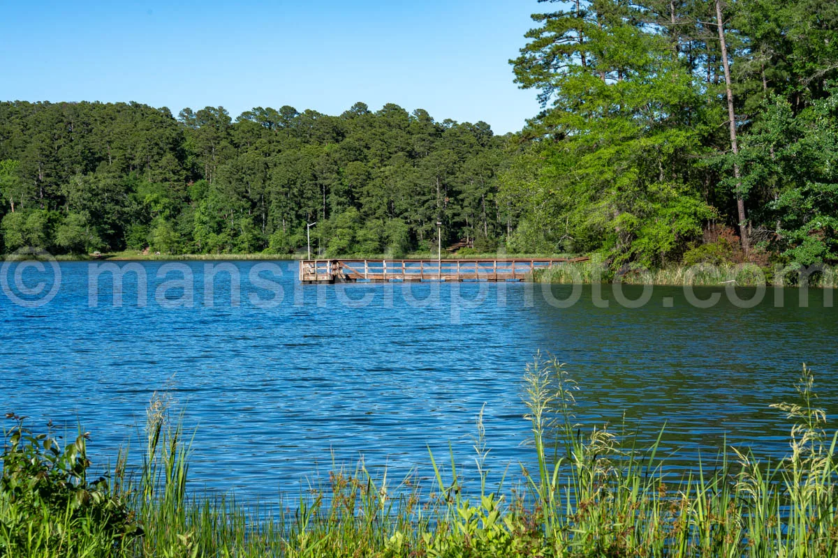 Fishing Pier At Tyler State Park A4-33519