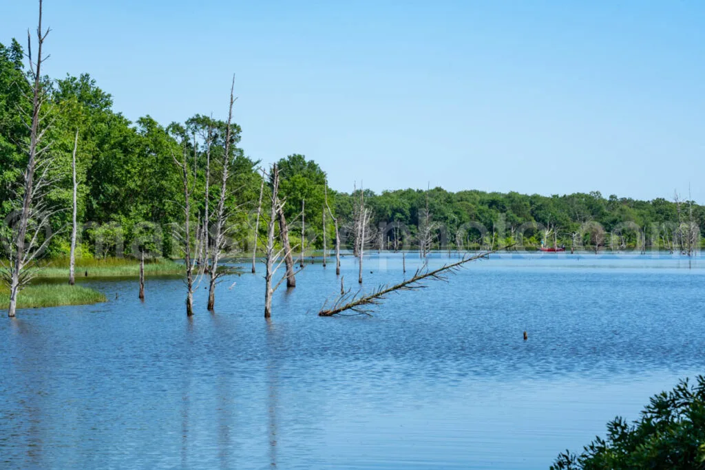 Purtis Creek State Park A4-33542 - Mansfield Photography