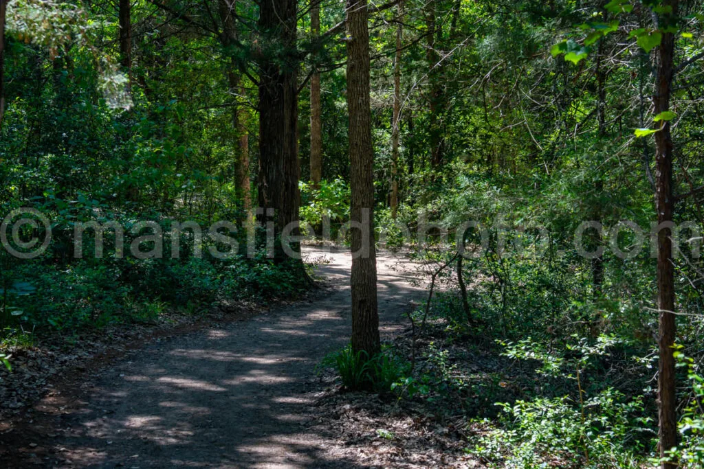 Trail In Purtis Creek State Park A4-33549 - Mansfield Photography