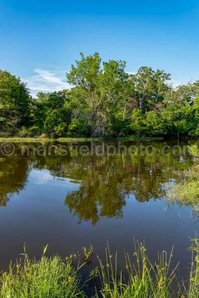 Lake Reflection - Purtis Creek State Park A4-33593 - Mansfield Photography