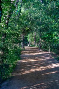 Trail In Elmer Oliver Nature Park A4-33890 - Mansfield Photography