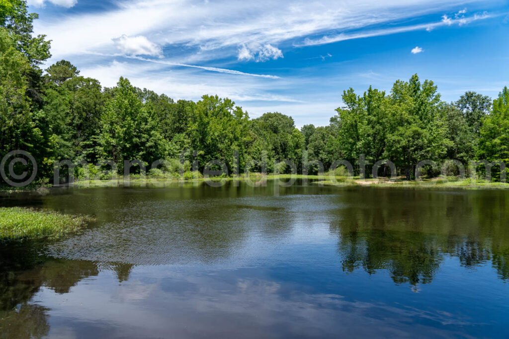 Trout Pond At Lake Bob Sandlin State Park A4-33938 - Mansfield Photography