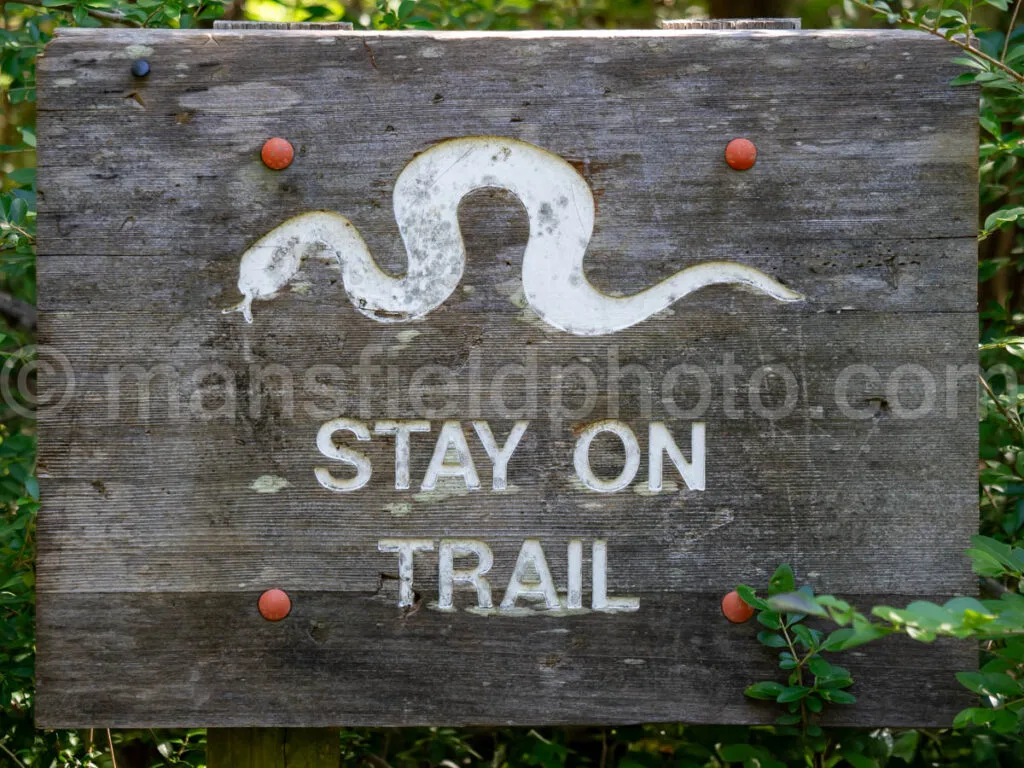 Stay On Trail A4-34215 - Mansfield Photography