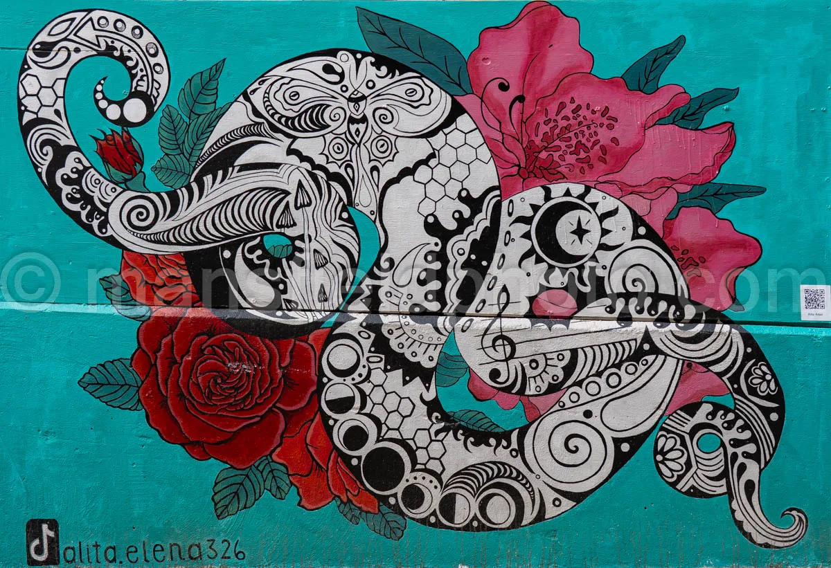 Art Alley Mural In Tyler, Texas A4-34790