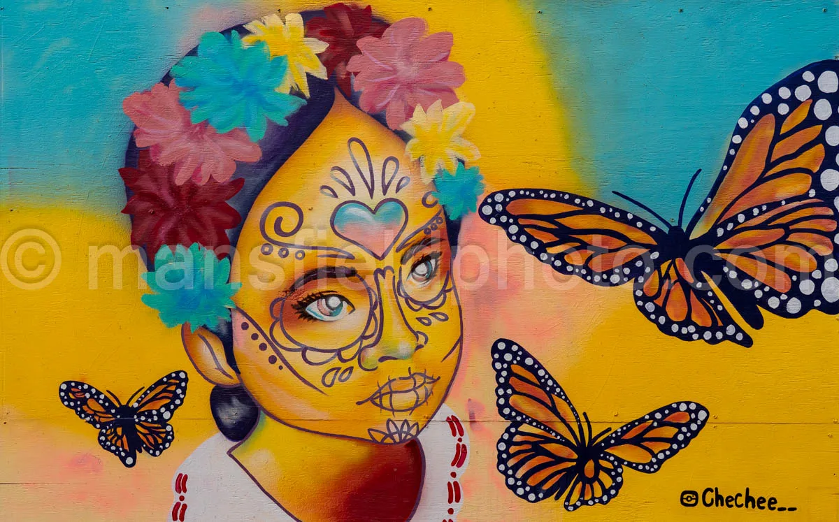 Art Alley Mural In Tyler, Texas A4-34791