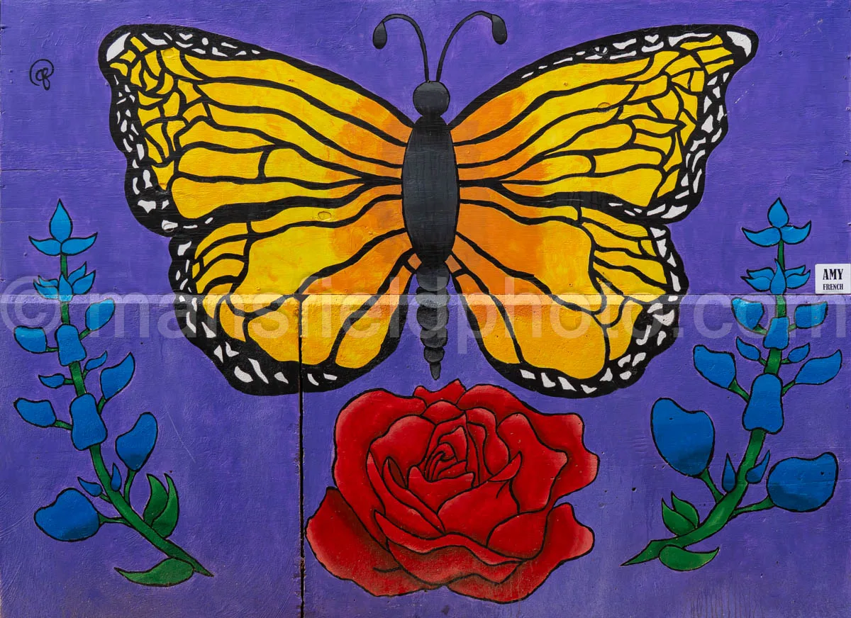 Art Alley Mural In Tyler, Texas A4-34795