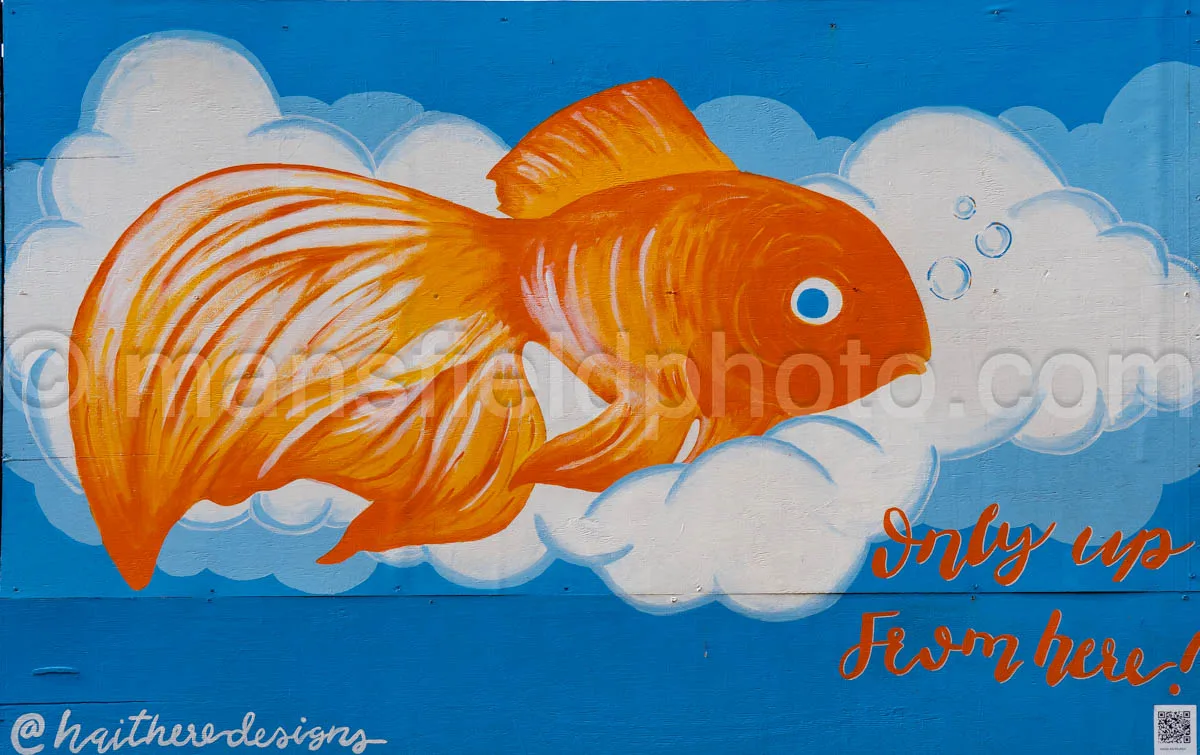 Art Alley Mural In Tyler, Texas A4-34797