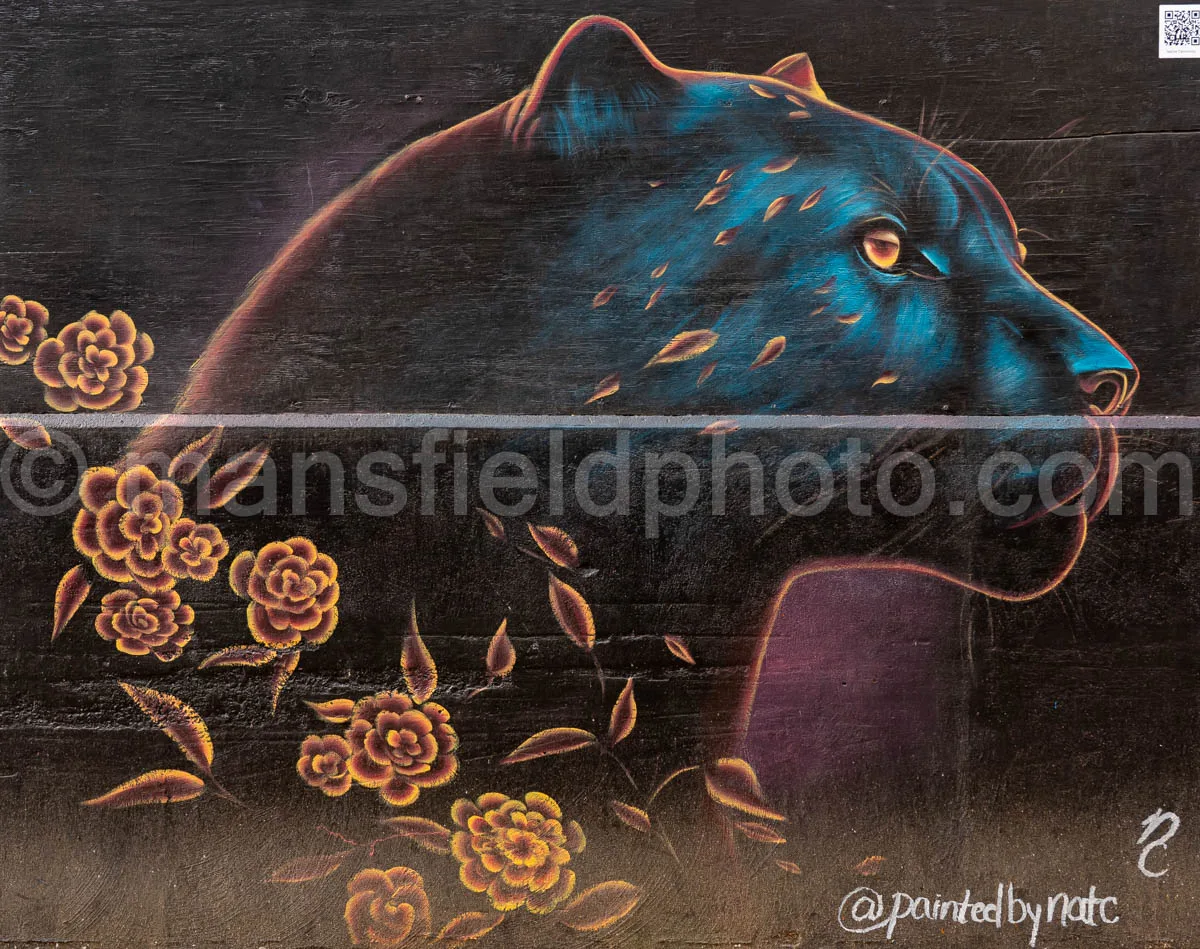 Art Alley Mural In Tyler, Texas A4-34798
