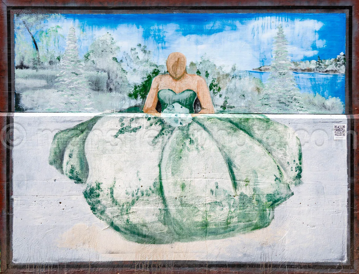 Art Alley Mural In Tyler, Texas A4-34799