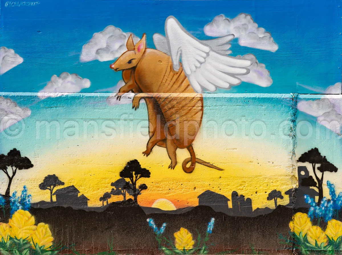Art Alley Mural In Tyler, Texas A4-34801